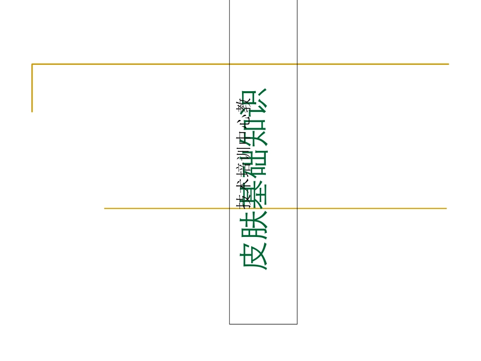 皮肤基础知识技术培训中心教学课件_第1页