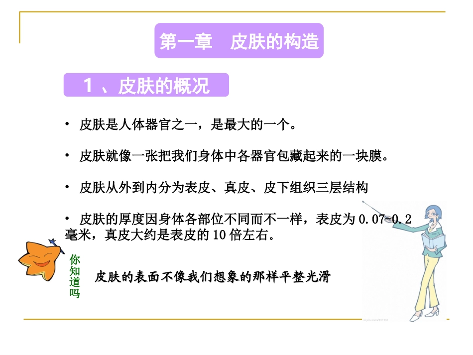 皮肤基础知识技术培训中心教学课件_第3页
