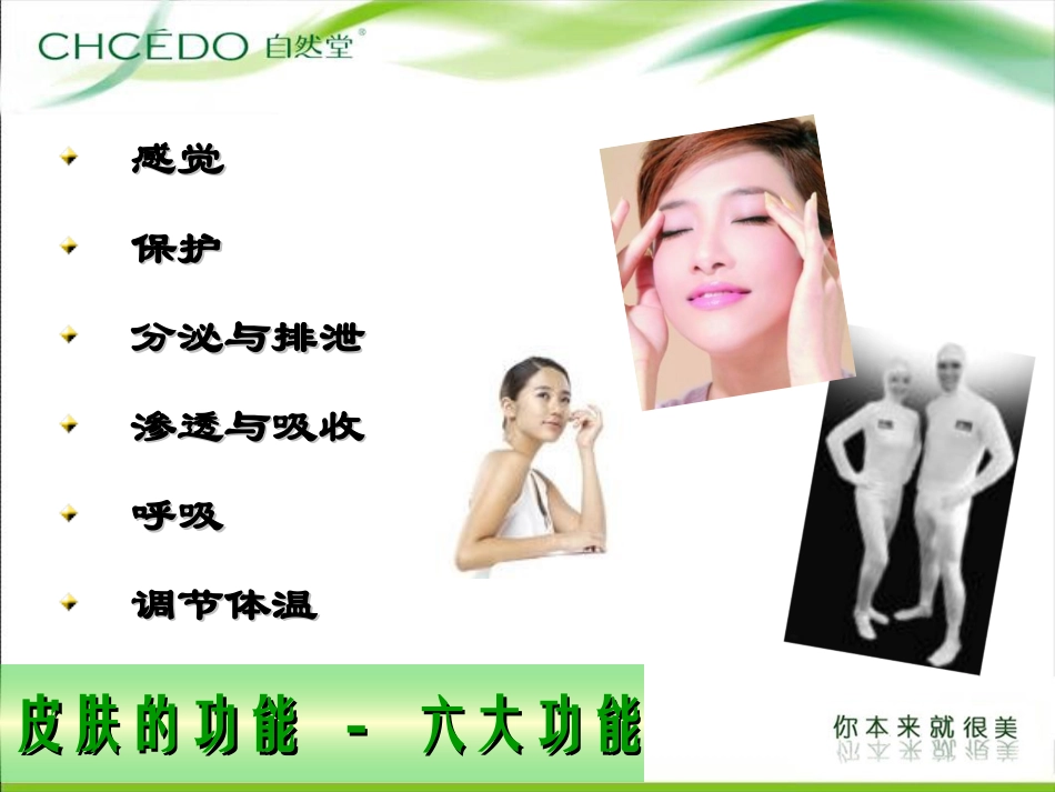 皮肤基础知识培训课件_第3页