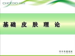 皮肤基础知识培训课件