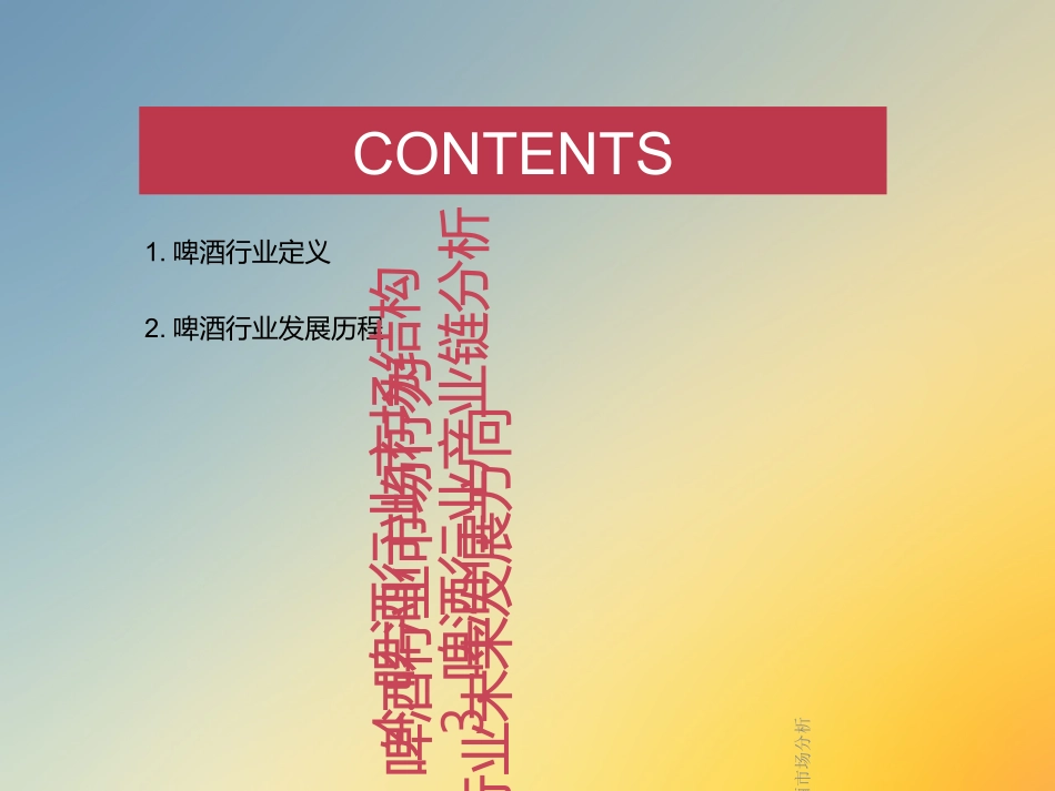 啤酒市场分析_第2页