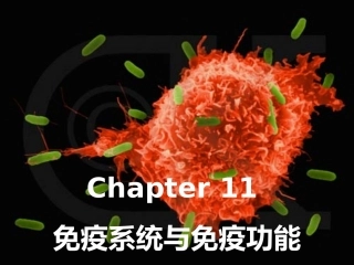 普通生物学免疫系统和免疫功能