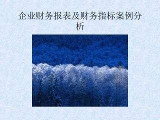 企业财务报表及财务指标案例分析