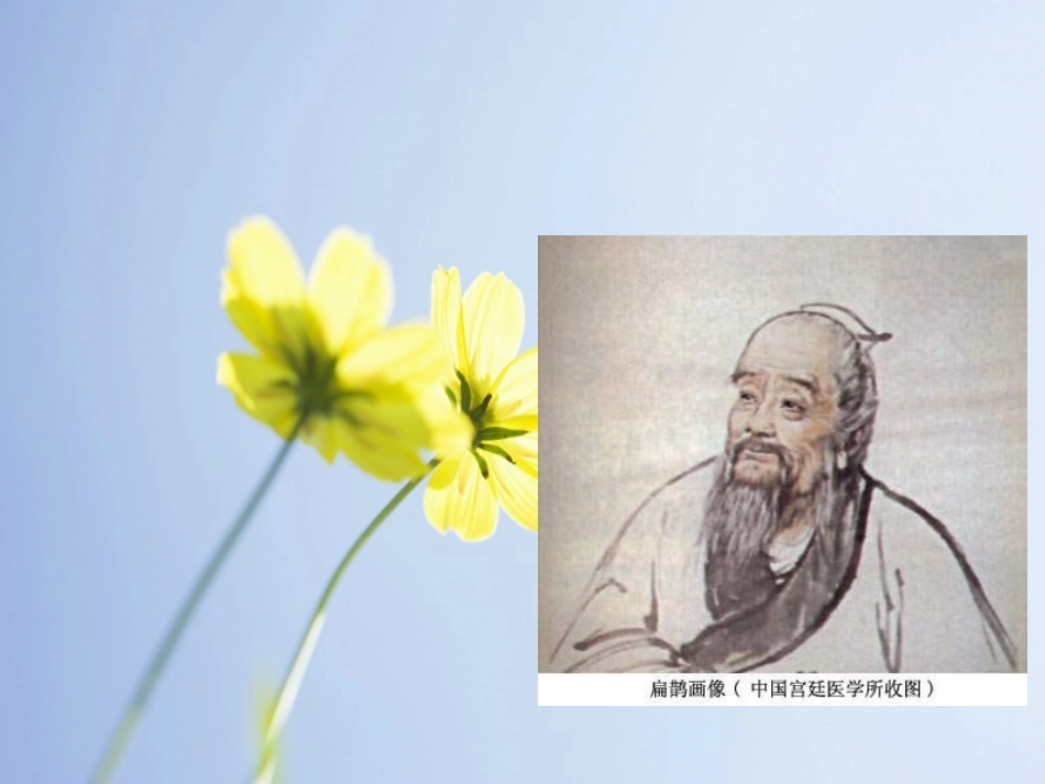 器官移植教学课件_第3页