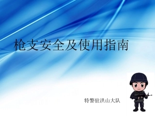 枪支安全及使用指南