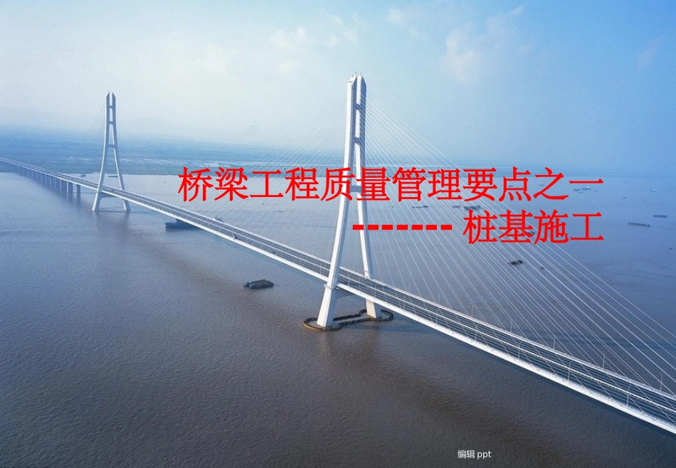 桥梁桩基施工质量管理要点_第1页