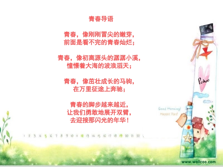 青春期的心理健康精品PPT课件_第2页