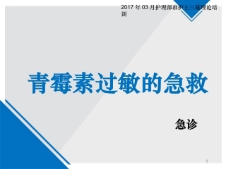 青霉素过敏的急救课件