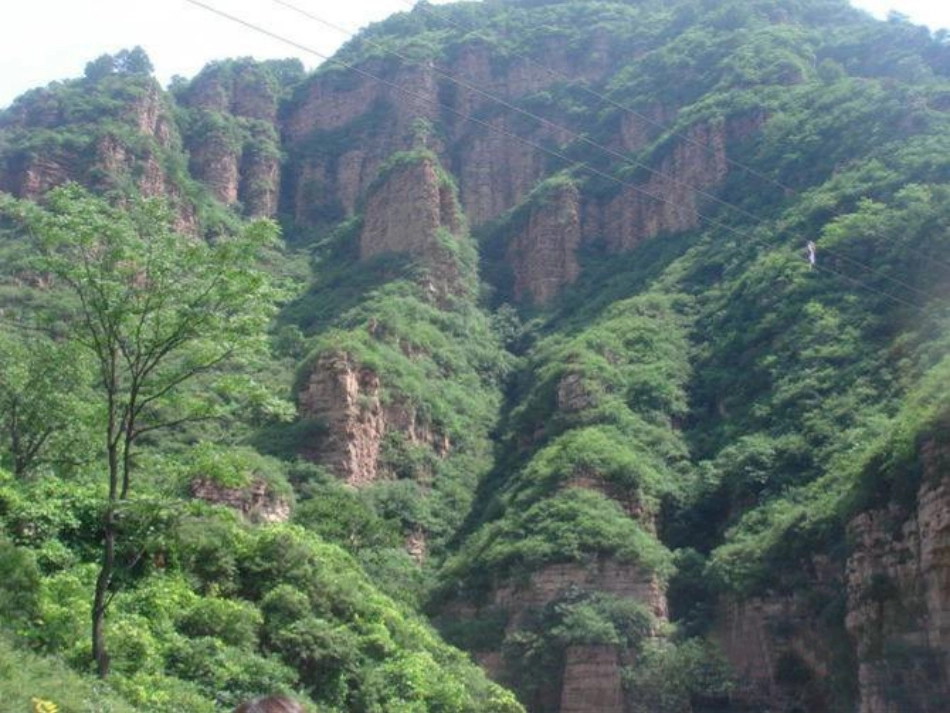 青山不老课件_第2页