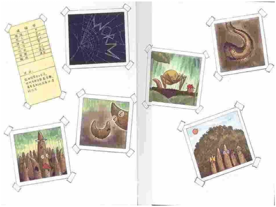 蚯蚓的日记讲义_第2页