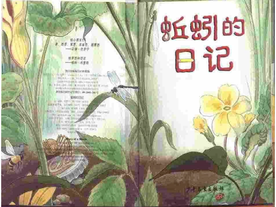 蚯蚓的日记讲义_第3页