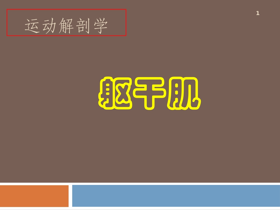 躯干肌运动解剖学课件_第1页