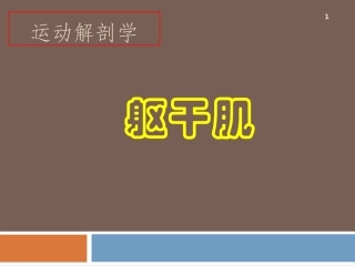 躯干肌运动解剖学课件