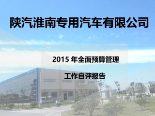 全面预算总结报告