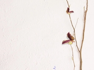 燃气基础知识课件