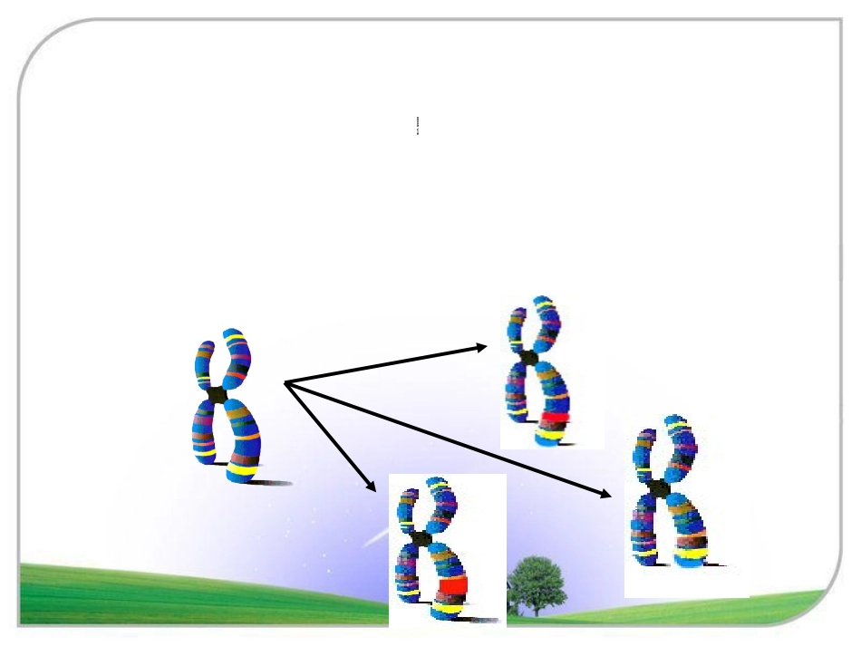 染色体变异获奖优质课_第1页