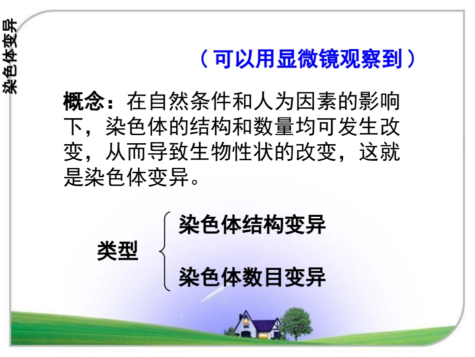 染色体变异获奖优质课_第2页