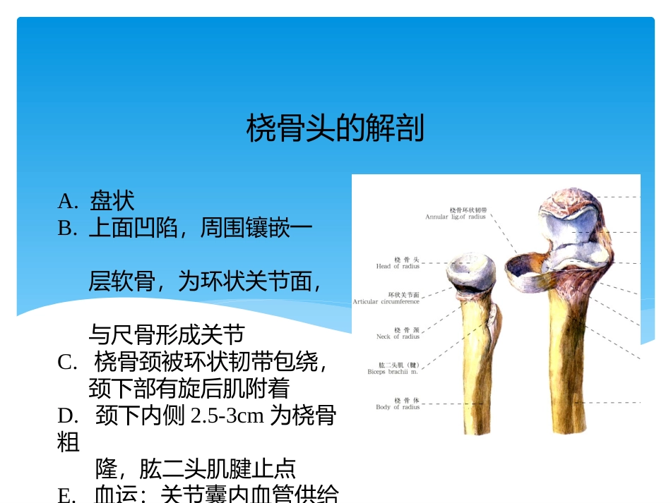 桡骨小头骨折讲解优质课件_第2页