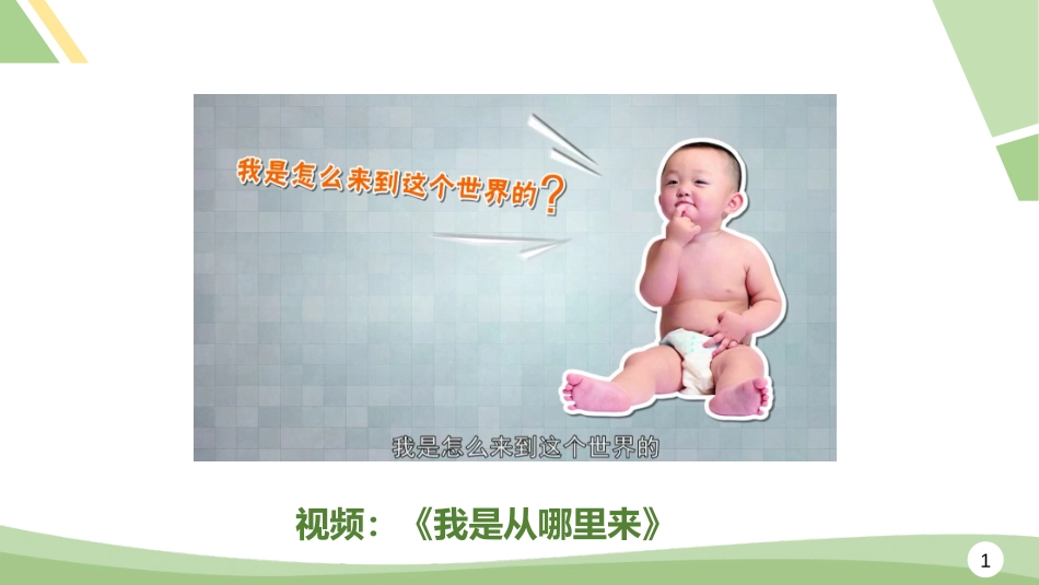 人的生殖精品课件经典版_第1页
