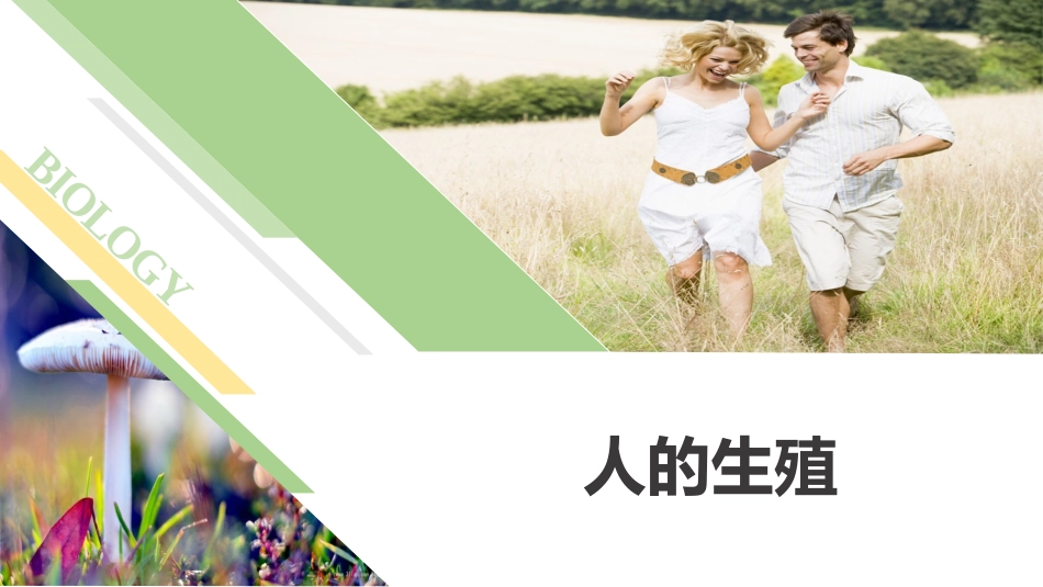 人的生殖精品课件经典版_第2页