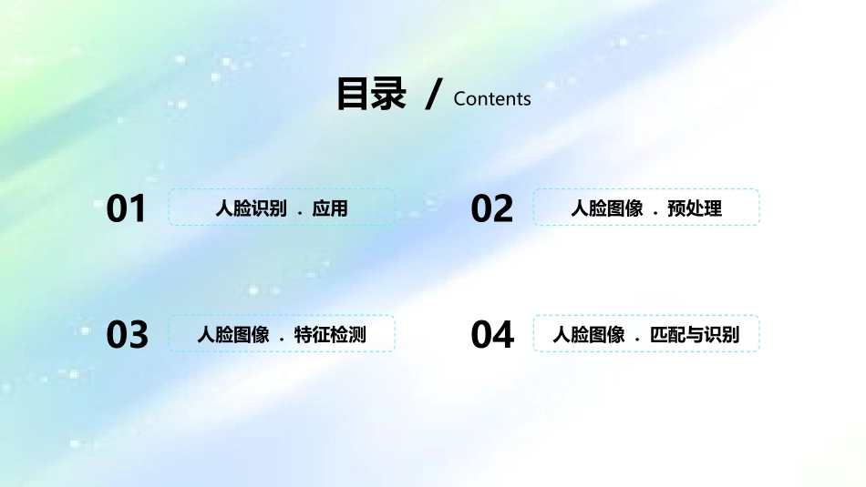 人脸识别演讲_第3页