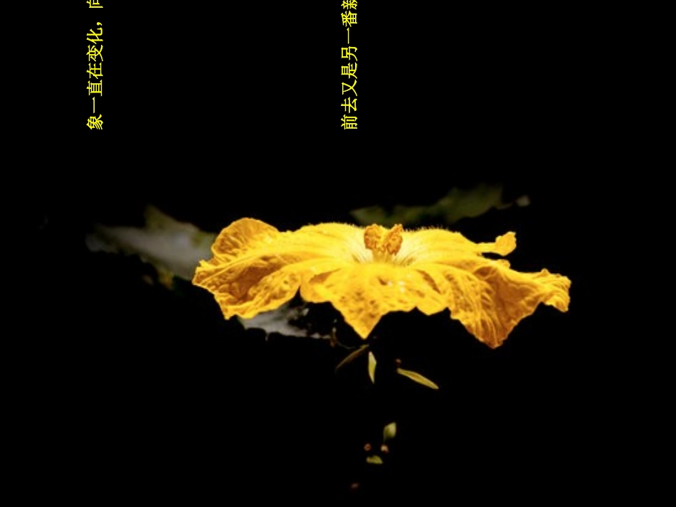 人生感悟+图片_第3页