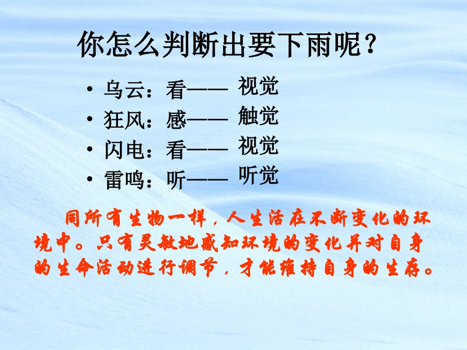 人体对外界环境的感知第一课时眼和视觉_第3页