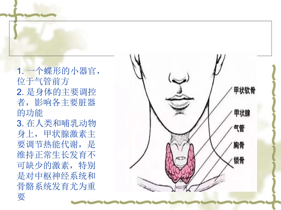 妊娠合并甲减_第3页