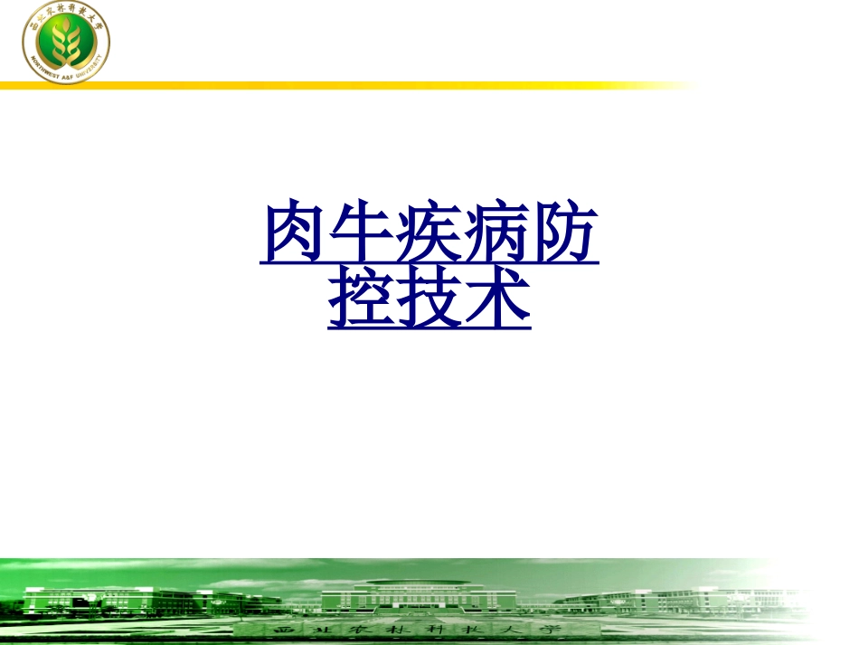 肉牛疾病防控技术优质课件_第1页