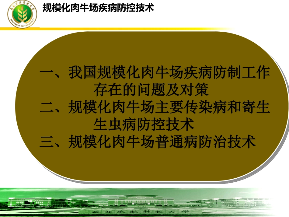 肉牛疾病防控技术优质课件_第2页