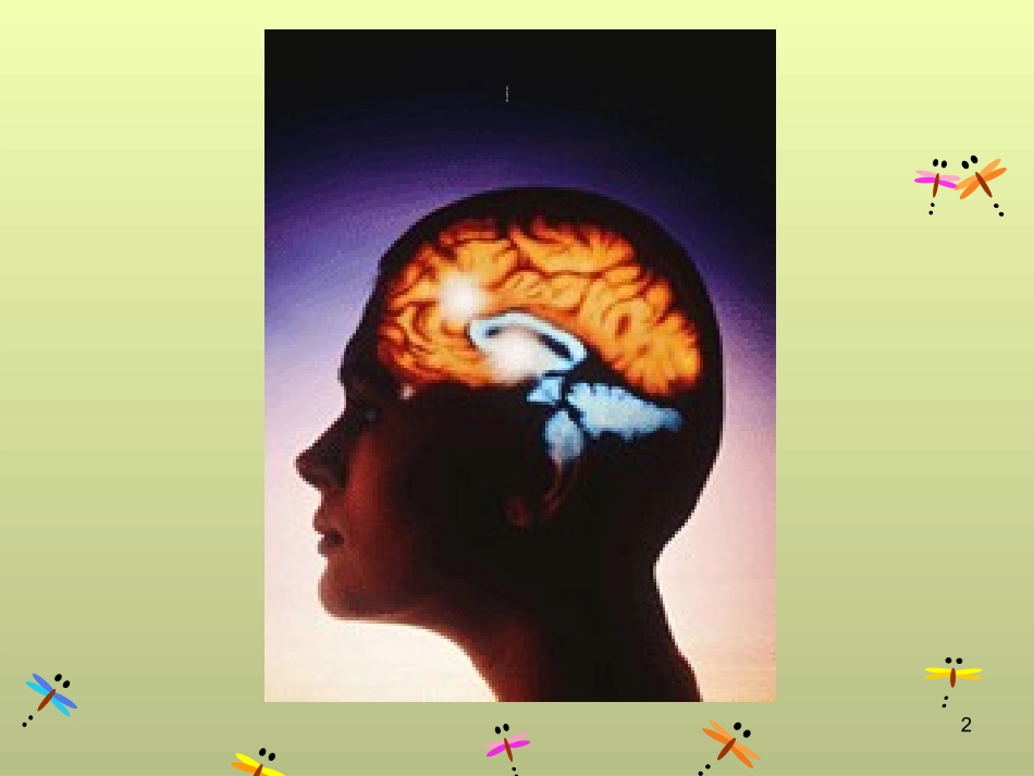 如何提升孩子的专注力精选课件_第2页