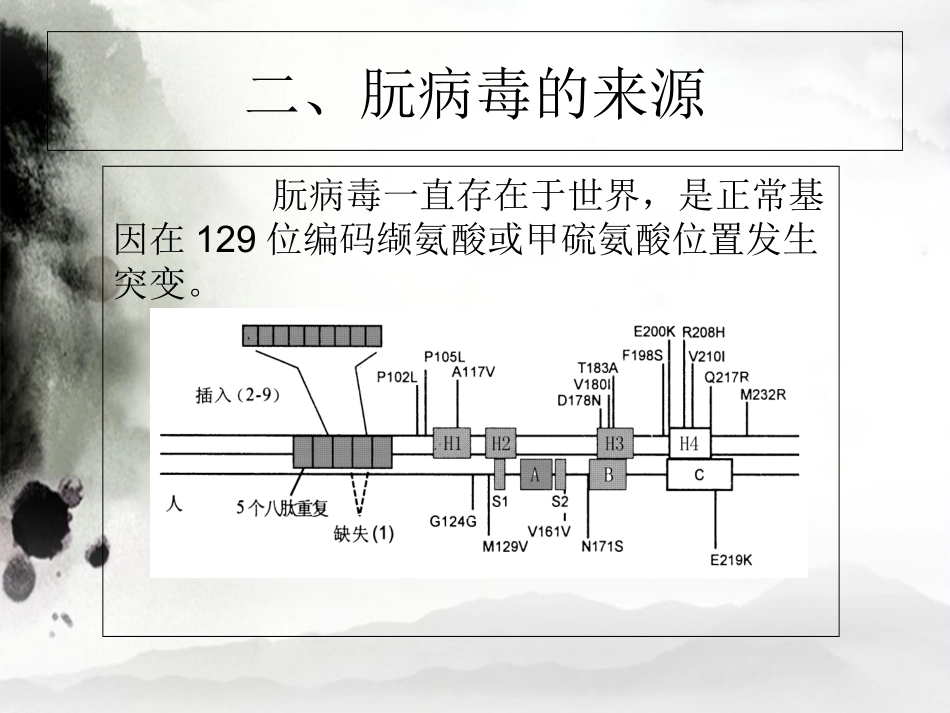 朊病毒分子生物学_第3页