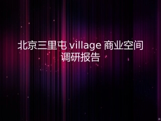 三里屯village调研报告