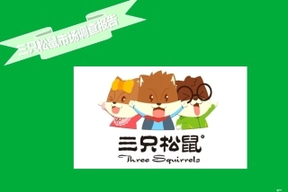 三只松鼠市场调研报告概要