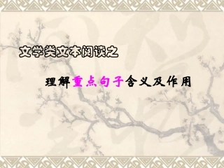散文句子赏析