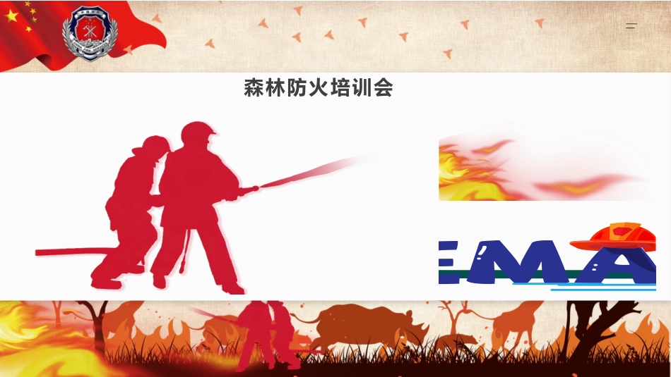 森林防火培训_第2页