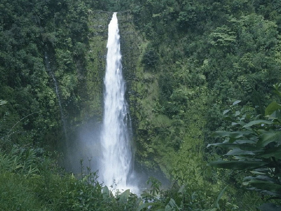 森林防火最新课件_第3页