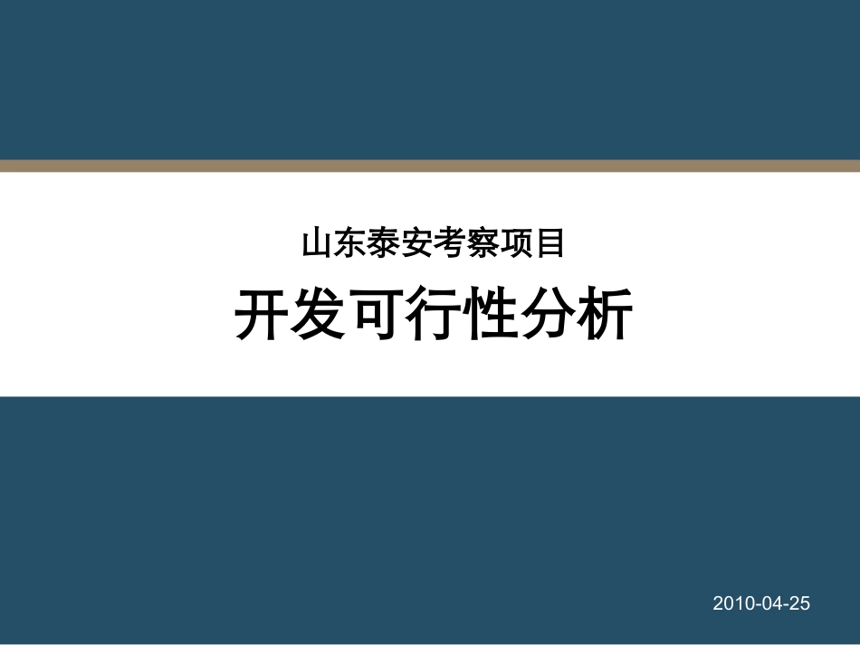 山东泰安项目可行性分析报告_第1页