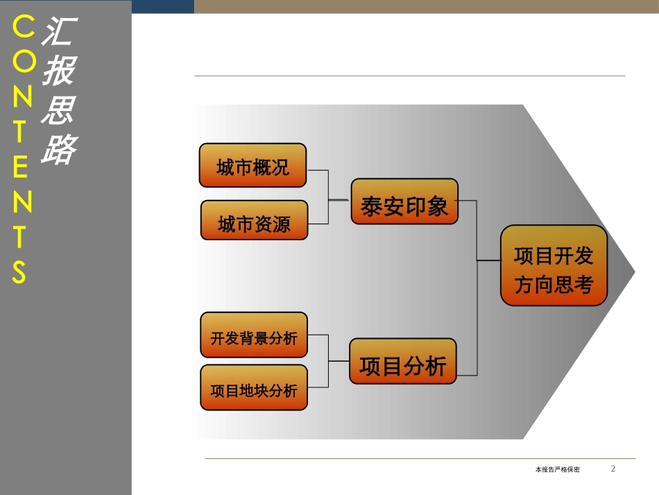 山东泰安项目可行性分析报告_第2页
