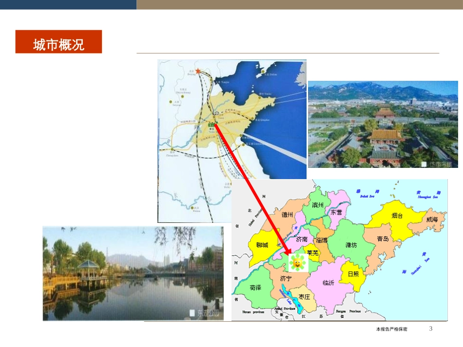 山东泰安项目可行性分析报告_第3页