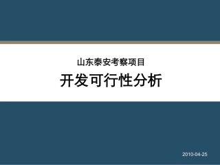 山东泰安项目可行性分析报告