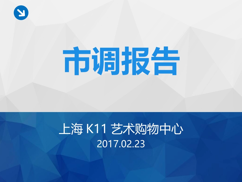 上海K11购物艺术中心市调报告_第1页