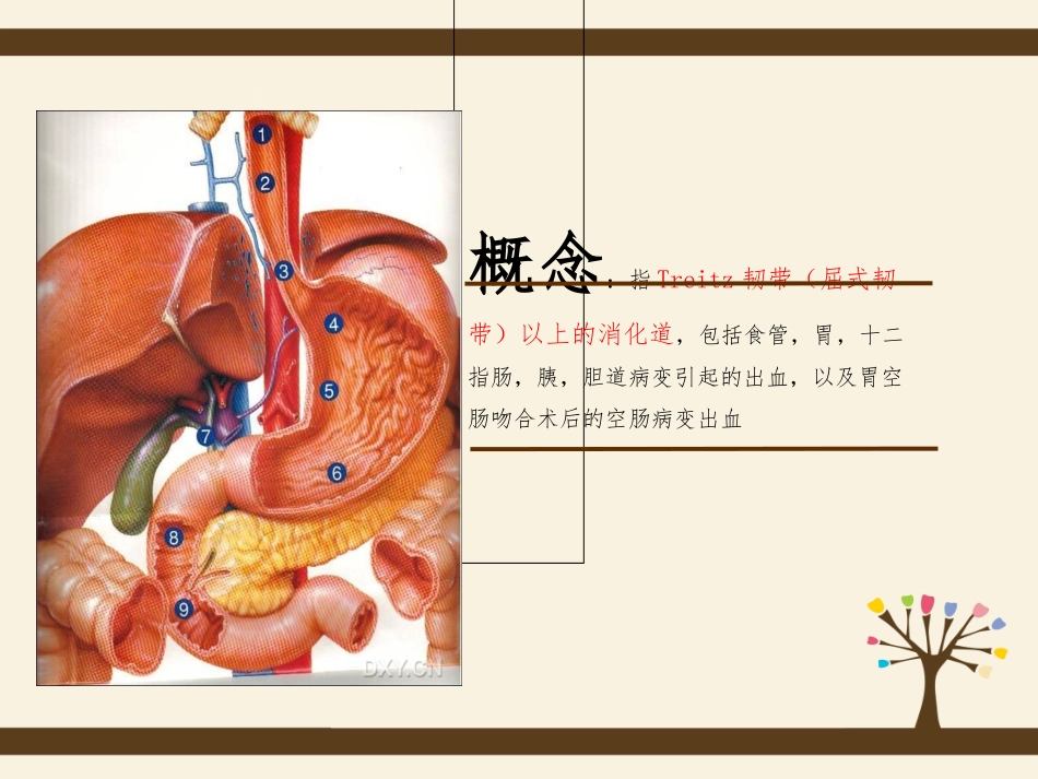 上消化道出血的护理查房_第3页