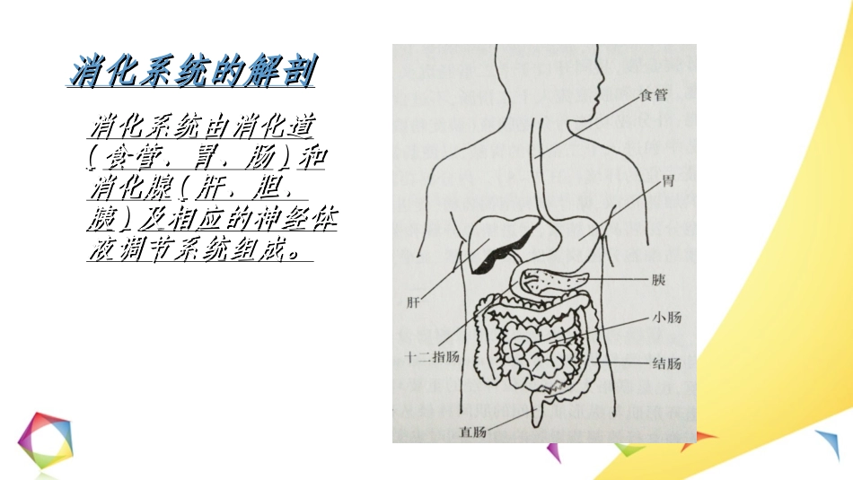 上消化道出血小讲课最新版_第3页