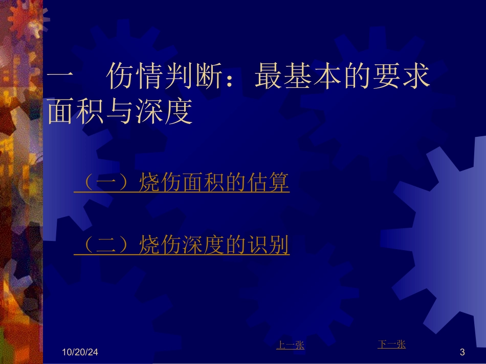 烧伤优质课件_第3页