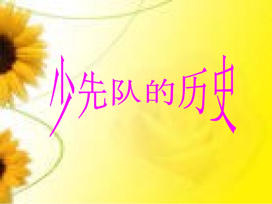 少先队队课课件_第2页