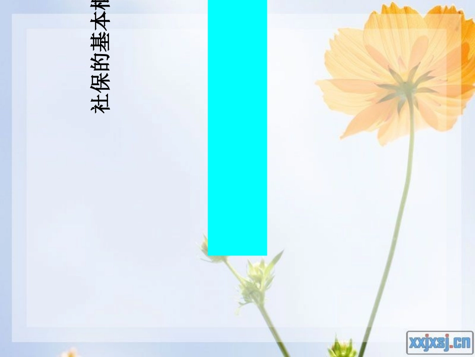 社会保险法培训课件_第2页