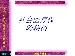 社会医疗保险稽核优质课件