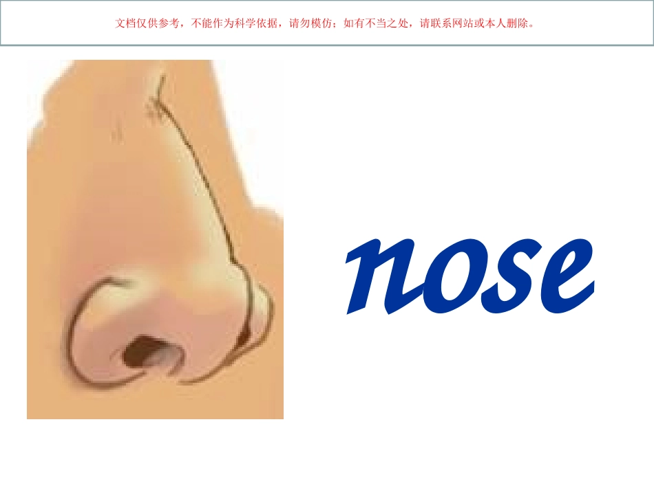 身体器官英语课件_第2页