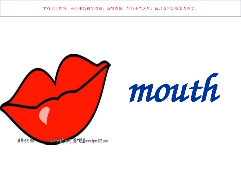 身体器官英语课件_第3页